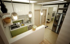 фото кухни совмещенной с коридором