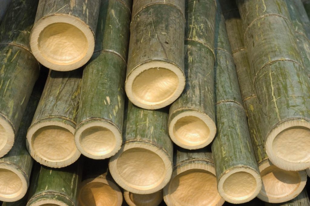 первый этап производства бамбука